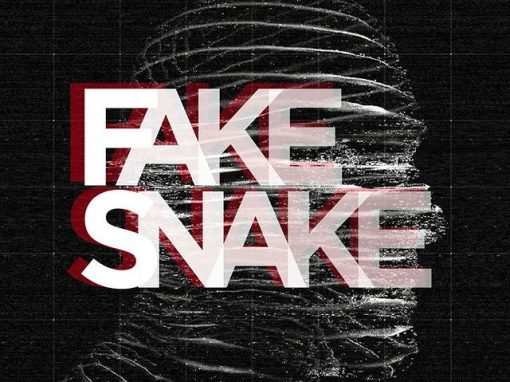 Fake Snake